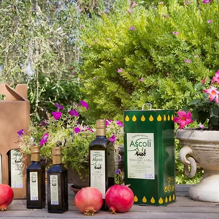 Valleverde شقة فندقية 4*