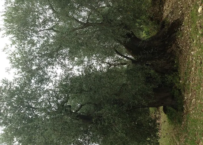 Apartmanhotel Valleverde Vieste