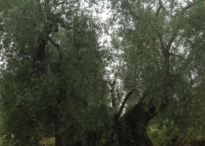 Valleverde Apart-hotel 4*